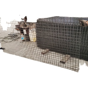 Gi kaynaklı tel örgü 1/2x 1/2 kaynaklı tel örgü yerden ısıtma kaynaklı tel örgü - Product Image 1