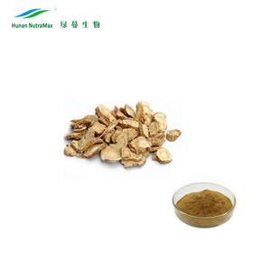 Free Samples Dong Quai Root Dong Quai Powder Dong Quai Extract Powder - Product Image 2