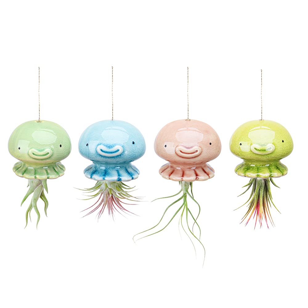 Jellyfish
