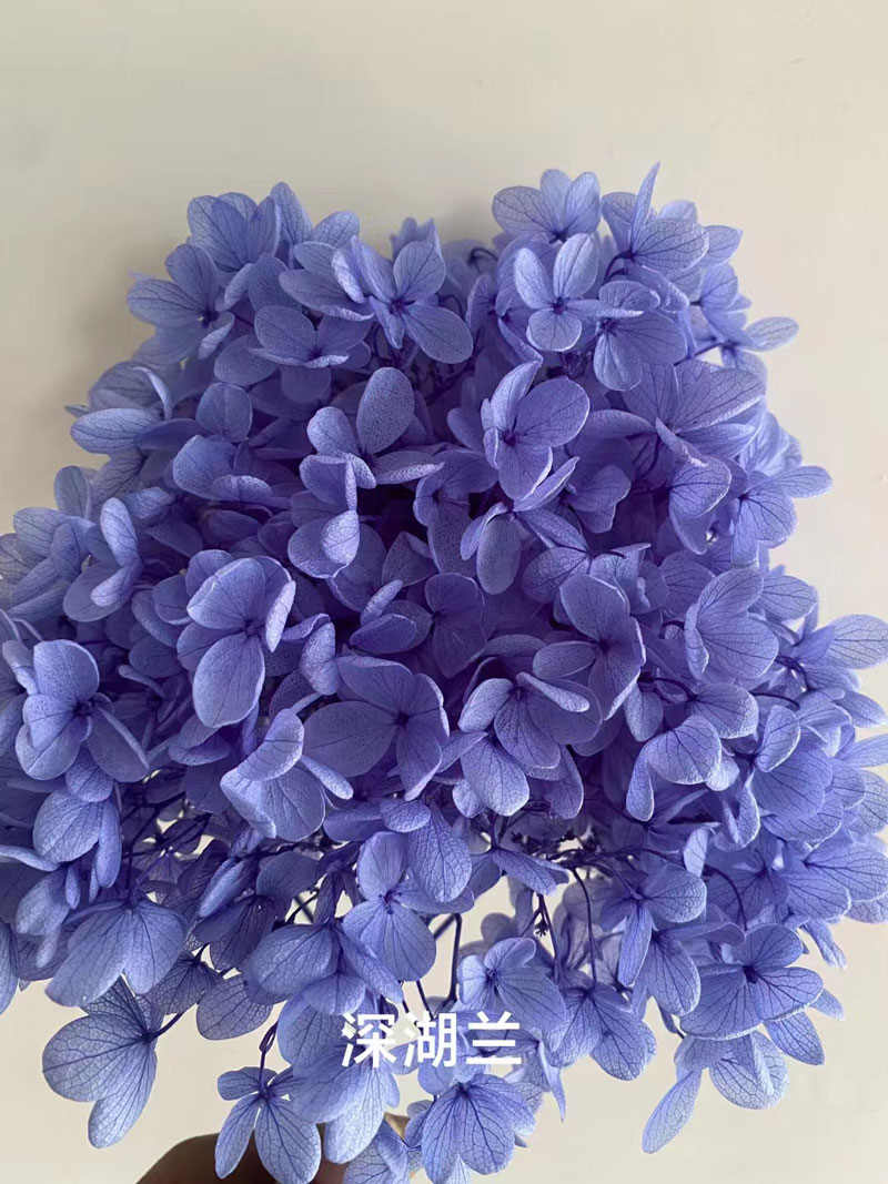 Bleu lac