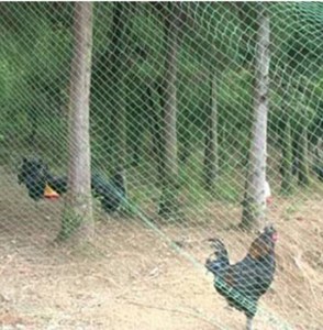 Hot Sale Multi-Function HDPE Plastic <strong>Net</strong> Wrap 2mx2m Anti-Bird <strong>Cover</strong> for Garden Fruit Plant Flower <strong>Tree</strong> Agricultural Baling <strong>Net</strong> - Product Image 4