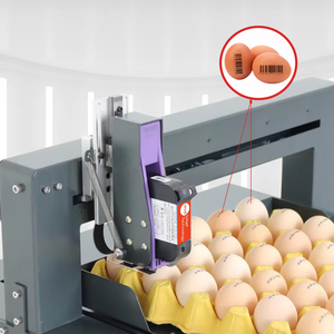 Wecare Tự Động Máy Bay Phản Lực Trứng Máy <span class=keywords><strong>In</strong></span> Cao 600Dpi Nhanh Khô Máy <span class=keywords><strong>In</strong></span> Phun Cho Ngày Hàng Loạt Số Đồ Họa Logo Chim Bồ Câu Trứng - Product Image 1