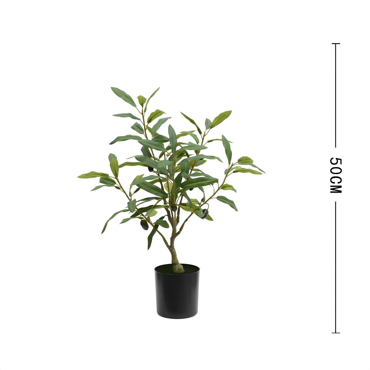 50cm