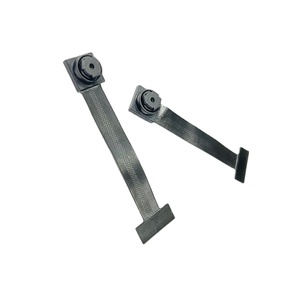 <strong>Support</strong> Customization BF3005 <strong>ISP</strong> 0.3MP 60fps Low Light Night Vision DVP - Product Image 1