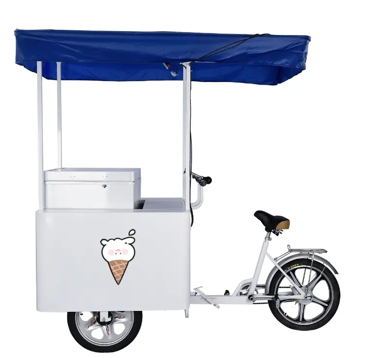 Tetto superiore pannello solare batteria interna esterna mobile gelato congelatore solare freno posteriore triciclo carrello bicicletta