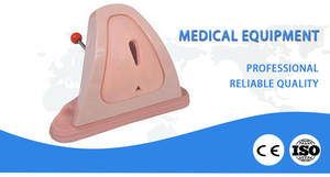 Simulador de entrenamiento realista de modelo anatómico más vendido para corte y sutura de perineo para uso escolar - Product Image 4