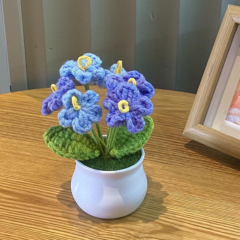 Blue forget-me-not potted plant