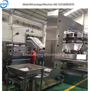 工业自动Z料斗输送机定制304 SUS立式Z型斗式提升机皮带链价格用于谷物花生 - Product Image 3