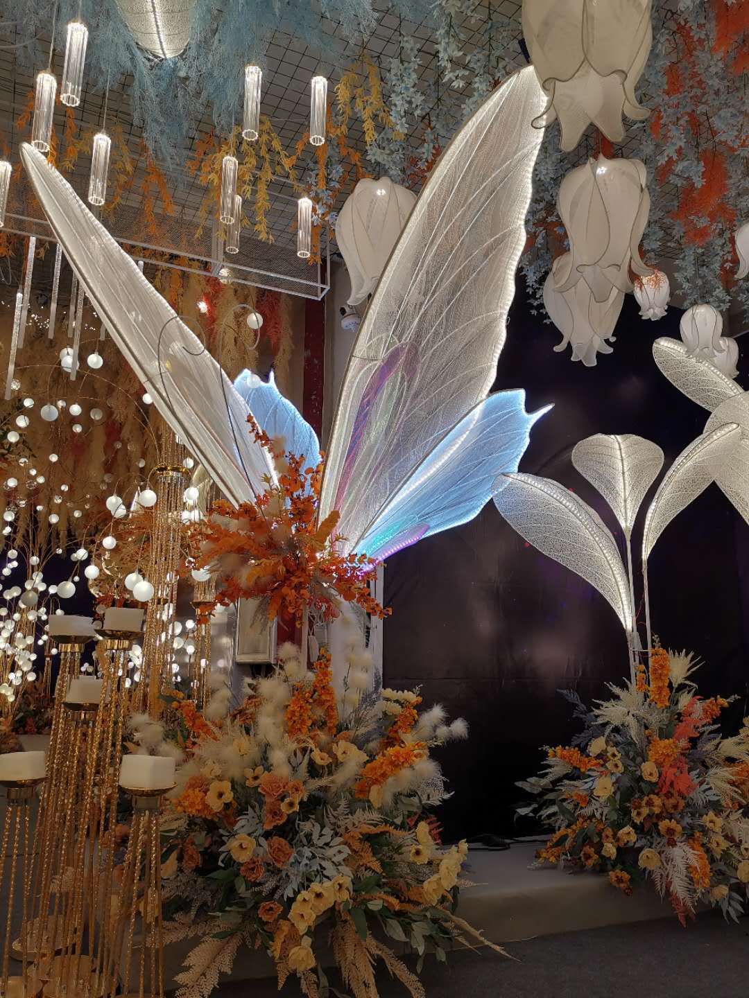Camino de ensueño hacia la mariposa.