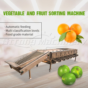Datteri frutti di palma macchina per la selezione delle dimensioni della macchina per la selezione delle cipolle di patate vegetali - Product Image 3