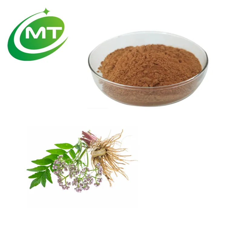 Estratto di radice di Valeriana di fornitura di fabbrica naturale estratto di Valeriana officinalis