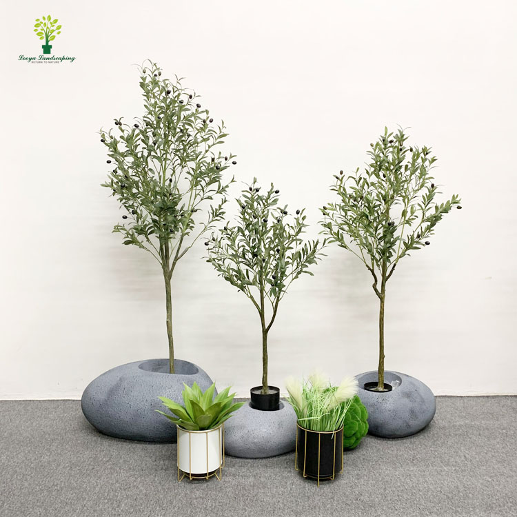 olive tree60cm