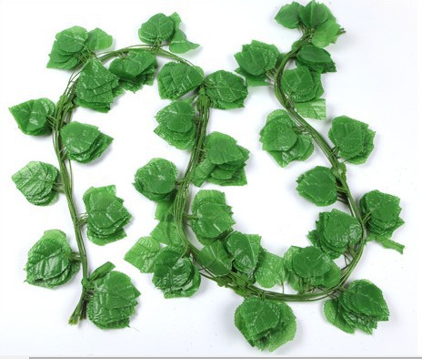 Petite feuille de vigne 30 feuilles