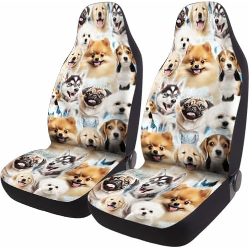 02-groupes de chiens