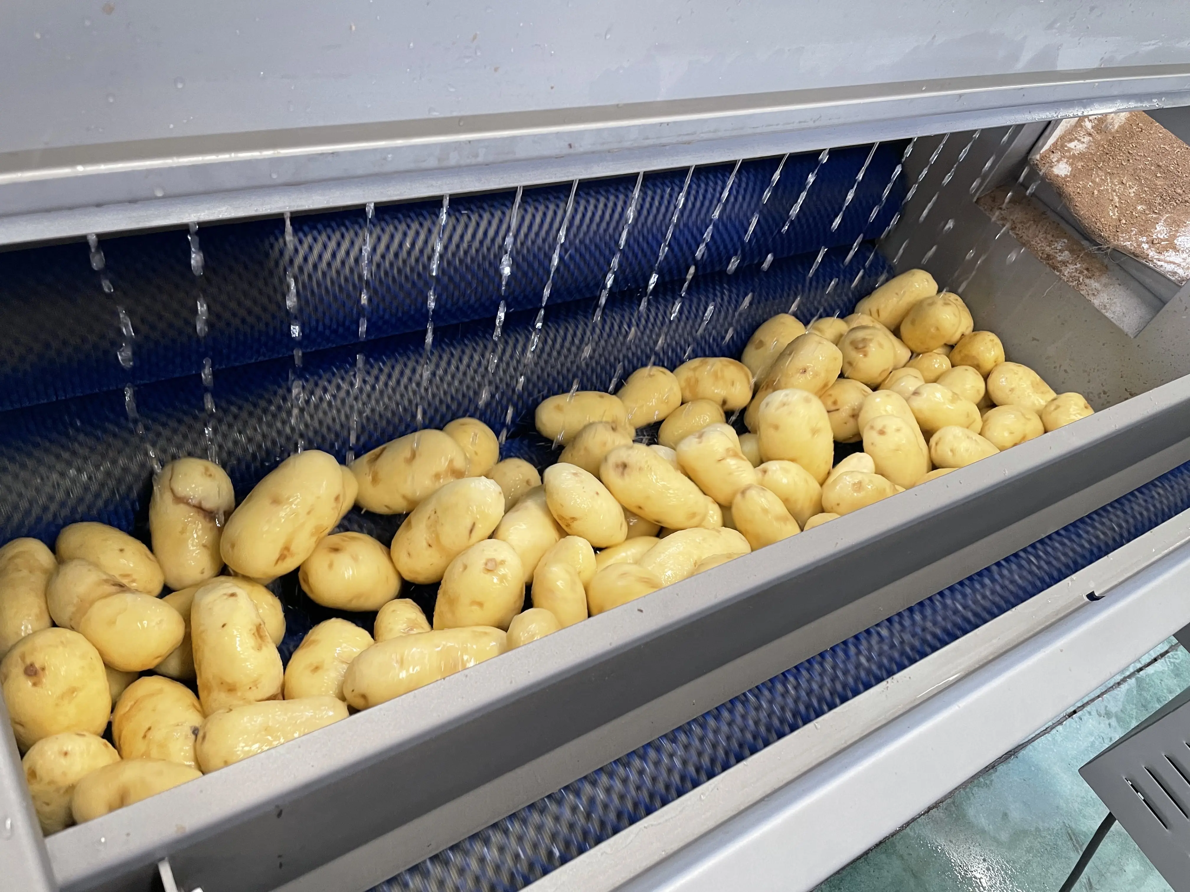 Línea de producción de máquina peladora y lavadora de patatas, lavadora de zanahorias