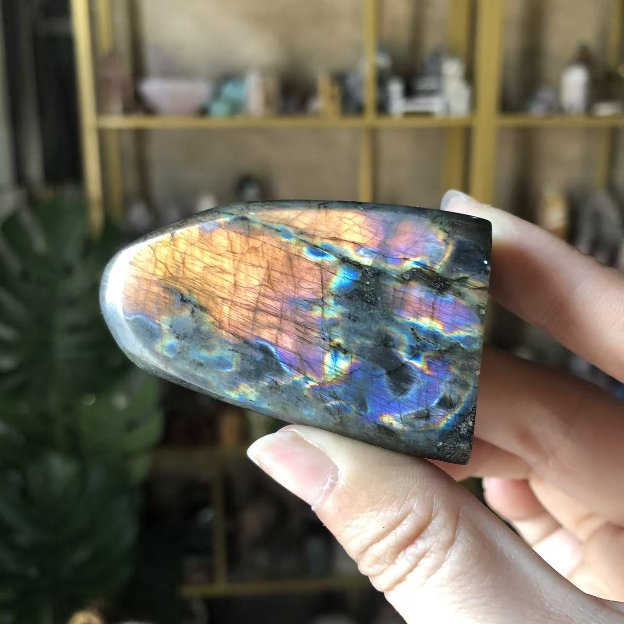 Labradorite Privo di#5