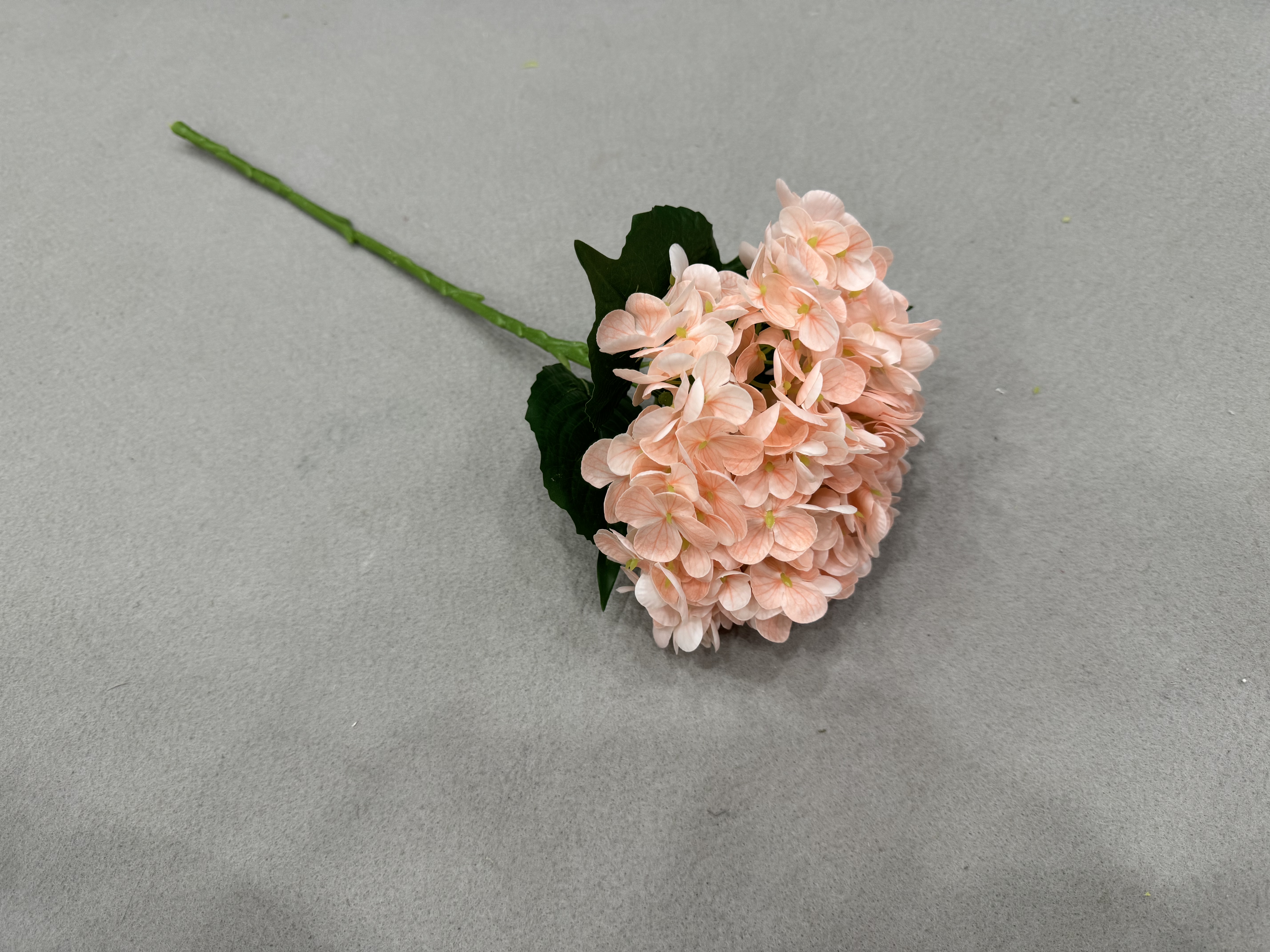 Soft Pink