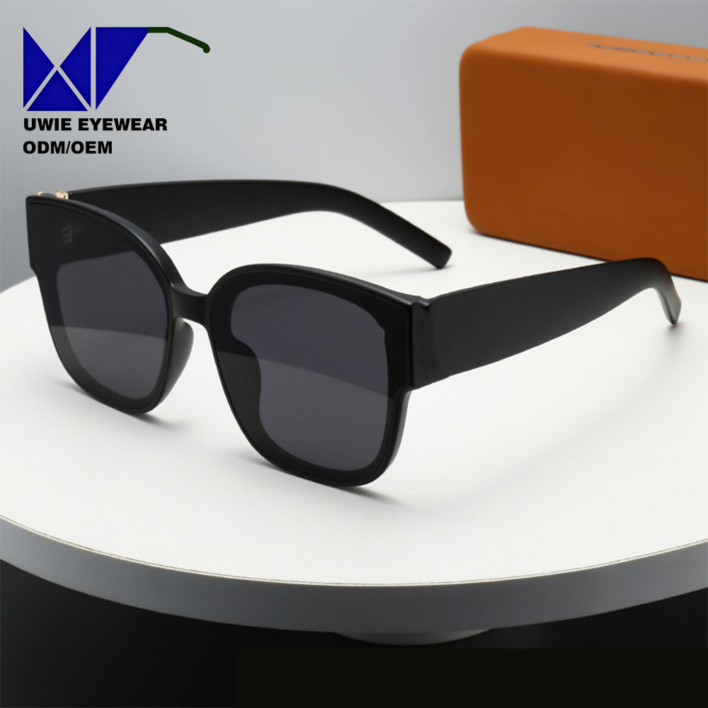 Monture noire avec verres noirs
