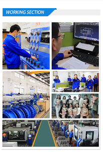 Vana Z631 pirinç yollu doğrudan etkili Pilot kumandalı diyafram yüksek basınç düşük sıcaklık sıvı azot oksijen Solenoid vana - Product Image 4