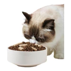 宠物猫食品工厂OEM价格好混合蛋黄高蛋白批发散装牛肉风味干猫粮主食