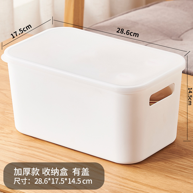 305 Narrow Medium Size with Transparent Lid