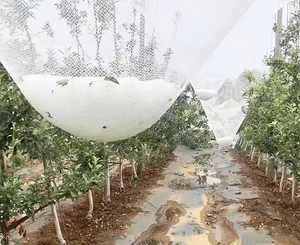 HDPE monofilamento antienvejecimiento Huerto Anti-granizo Red Vegetal Jardín Granizo cultivo árbol frutal Proteger malla sombra Red - Product Image 3