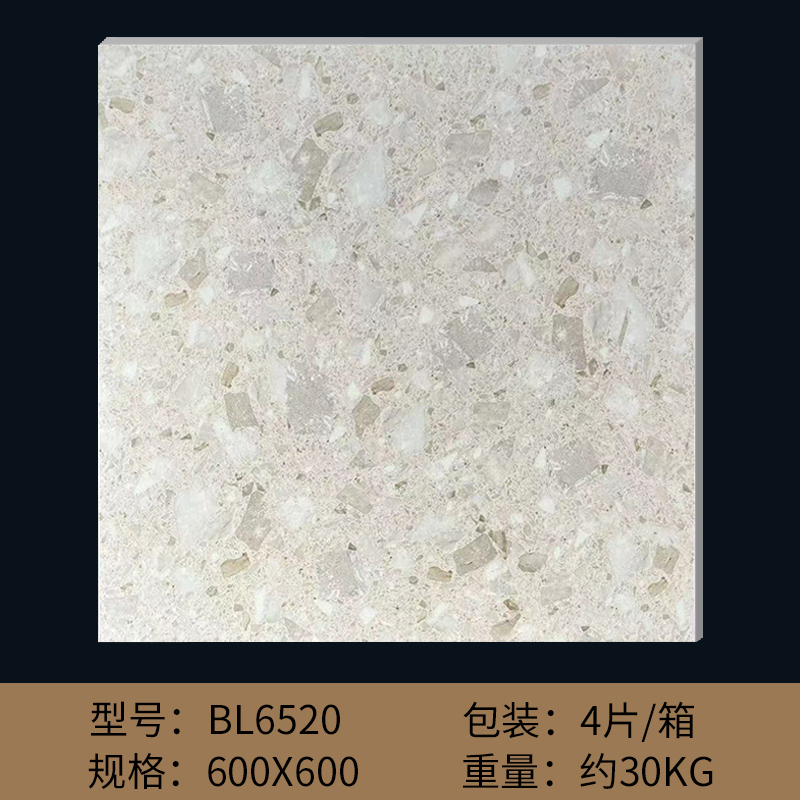 600*600 - bl6520