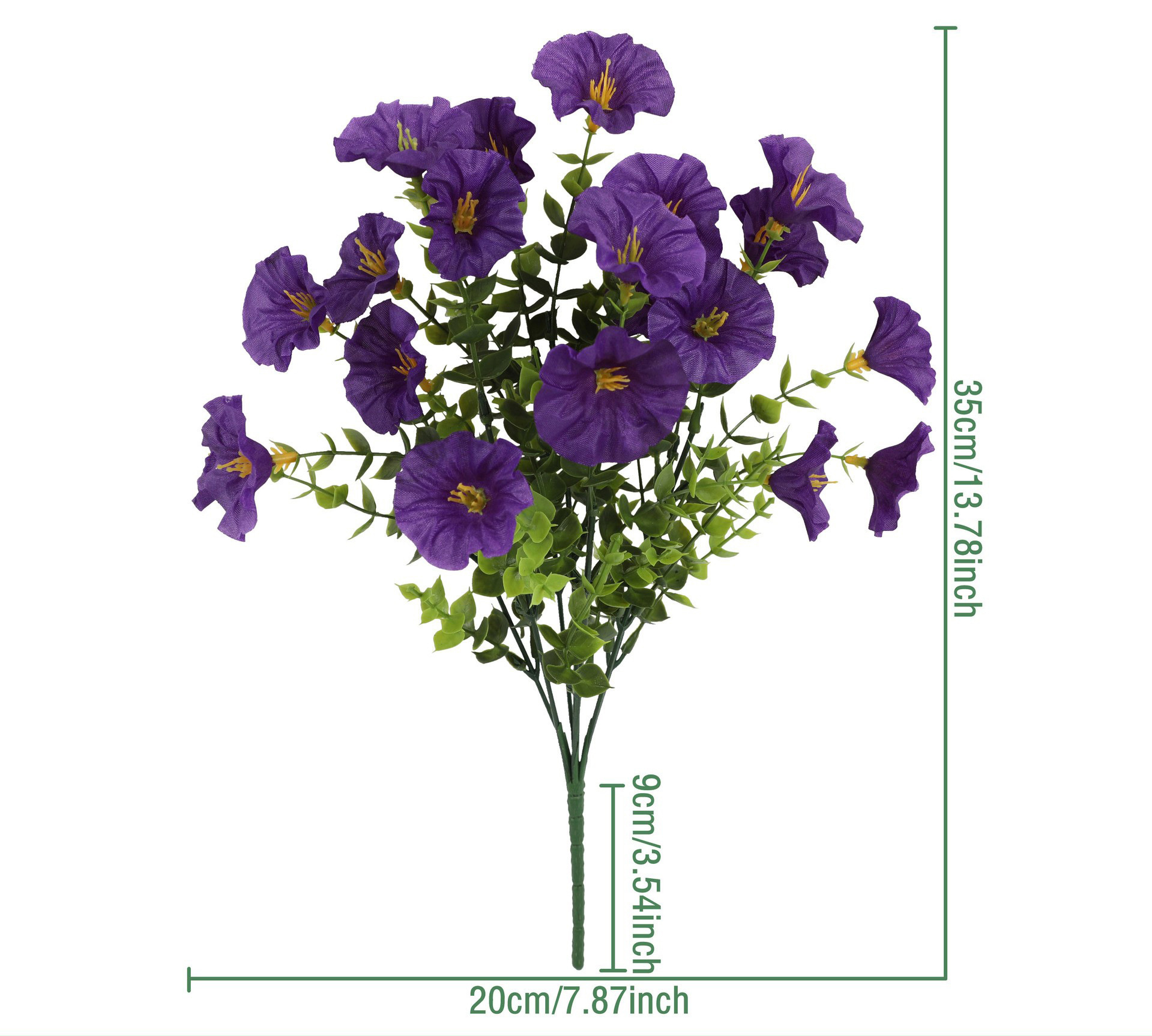 Viola