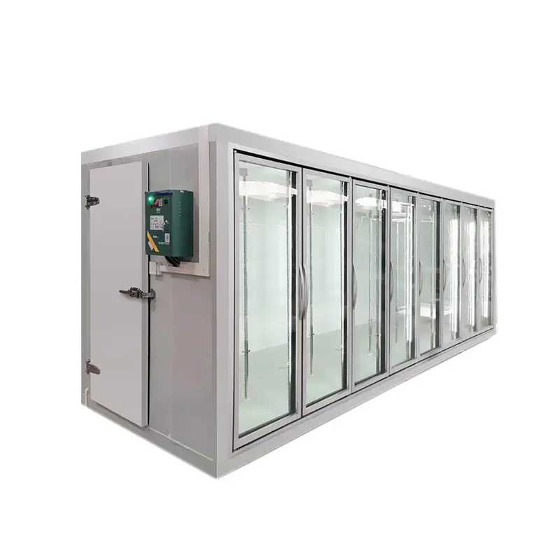Supermarket commercial flower glass door display cold room for frozen food, meat and seafood, milk, cold drinks