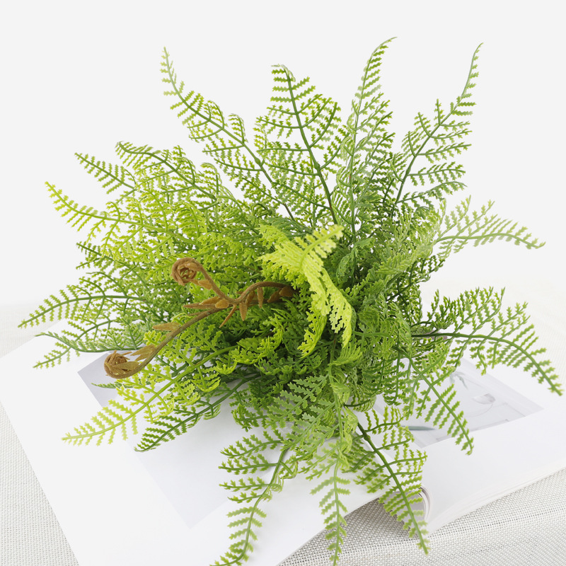 Paquet de feuilles vertes et fines