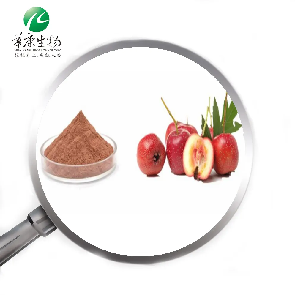 Topkwaliteit Meidoorn Fruit/Bes/Blad Poeder 60% 80% Totaal Flavonoïden Crataegus Pinnatifida Extract