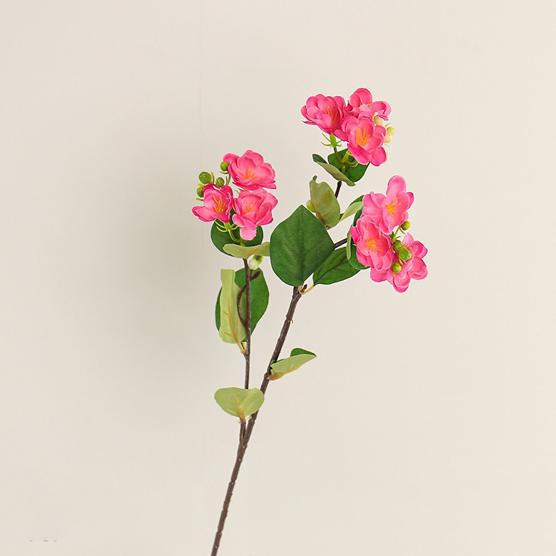 Rouge rose