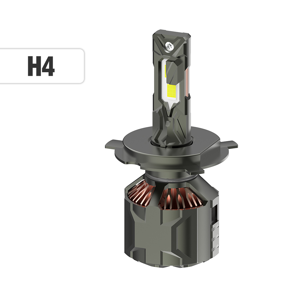 H4