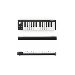 Оптовая продажа, 25 клавиш - Product Image 3