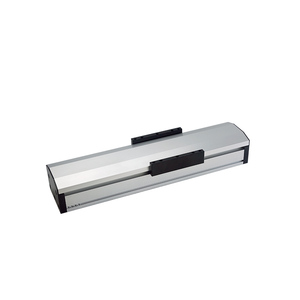 Double <strong>Linear</strong> Guide Ball <strong>Screw</strong> <strong>Driven</strong> <strong>Sliding</strong> Table Heavy Duty Dustproof Module - Product Image 1