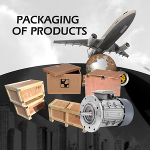 变频调速三相电机YVP变速器用电动机 - Product Image 6