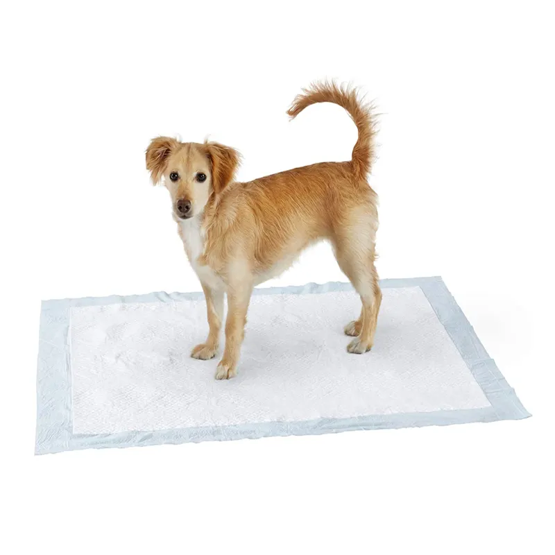 Cuscinetti per pipì per cani da compagnia vendita calda cuscinetti per pipì da addestramento con etichetta privata per cani
