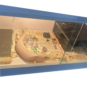 Factory Wholesale PVC Reptile <strong>Shell</strong> 30 &quot;36&quot; 48 &quot;ball <strong>Python</strong> Lizard Bearded Dragon Maned lion Reptile Feeding Box, Accept Custom - Product Image 3