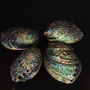 Natural Craft <strong>Paua</strong> Seashell 11-13cm Stock Polished Abalone Shell for Decoration Soap Box - Product Image 6