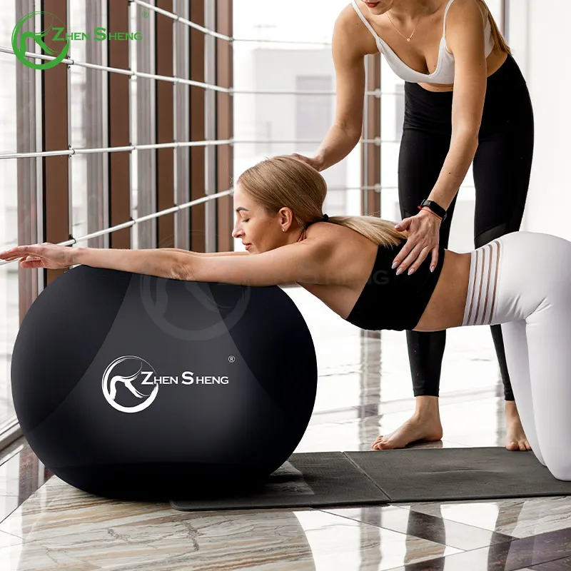 Zhensheng 2024, новый дизайн, фирменная акция, домашний тренажерный зал, фитнес-мяч, мяч для йоги, Изысканный мяч, швейцарский мяч с 9-дюймовым насосом