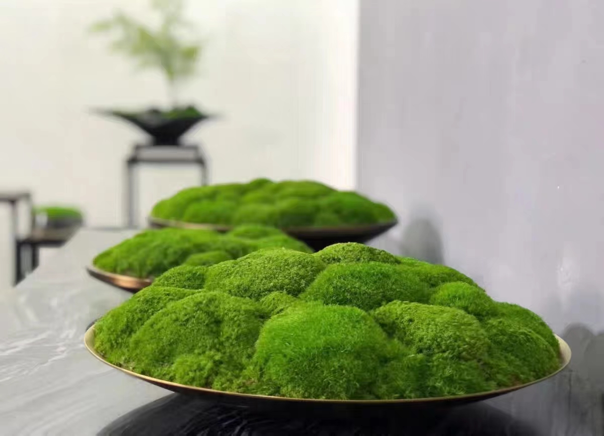 Panneau de mousse