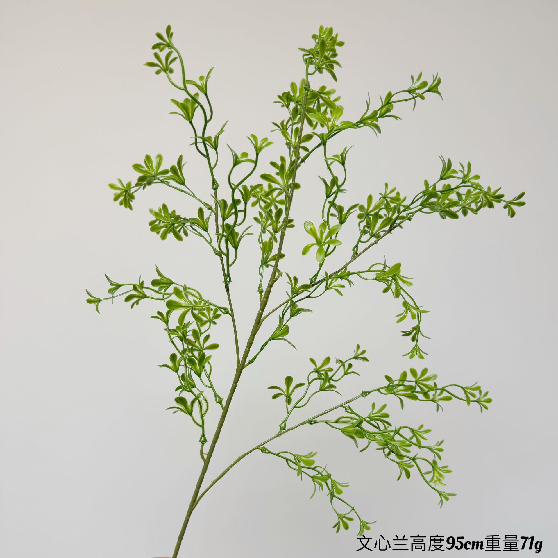 wenxinlan verde