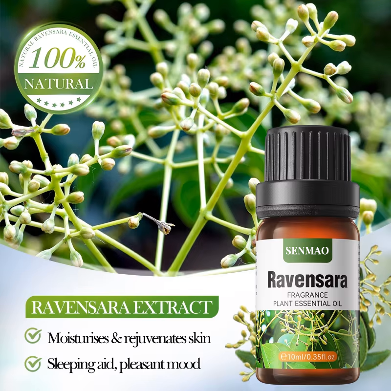 Aceite de Ravensara