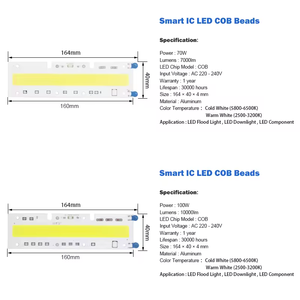 LED COB lambası çip 30W 50W 70W 100W 150W LED ampul çip 220V giriş akıllı IC LED sürücü için DIY LED projektör - Product Image 2