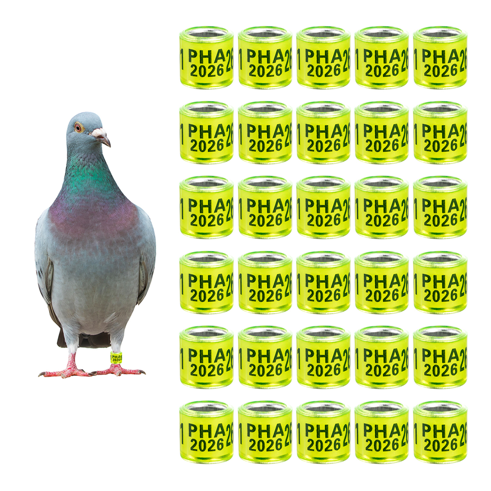 Vert fluorescent