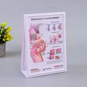 3D压花聚氯乙烯挂图，带出厂价格定制3d海报 - Product Image 6