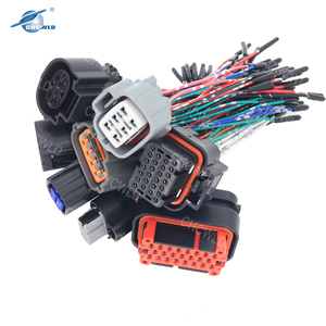 Nhà Sản Xuất Chuyên Nghiệp Tùy Chỉnh Sản Xuất Tất Cả Các Loại Thiết Bị Kết Nối Dây Lắp Ráp Cáp Và Ô Tô Dây Nịt - Product Image 5