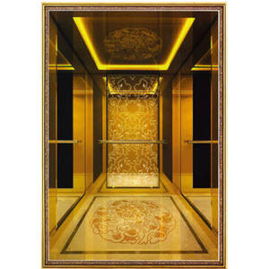 Liftdeur Dorpel Selcom Hydraulische Panoramische Swing Indoor Home - Product Image 4