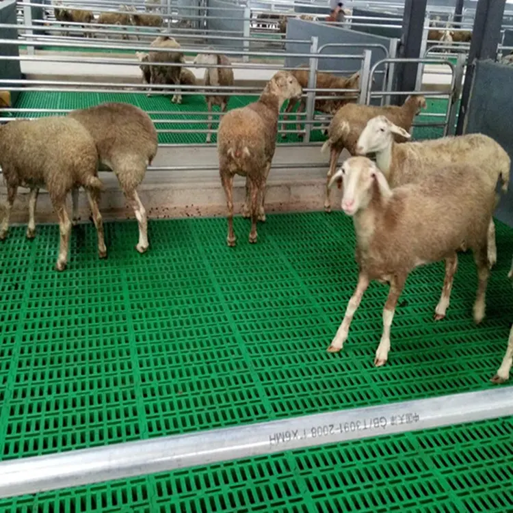 Suelo de granja de cabra, nuevo tipo 2019, suelo de listón de cabra de plástico, 600x600mm, suelo de listón de plástico para ovejas