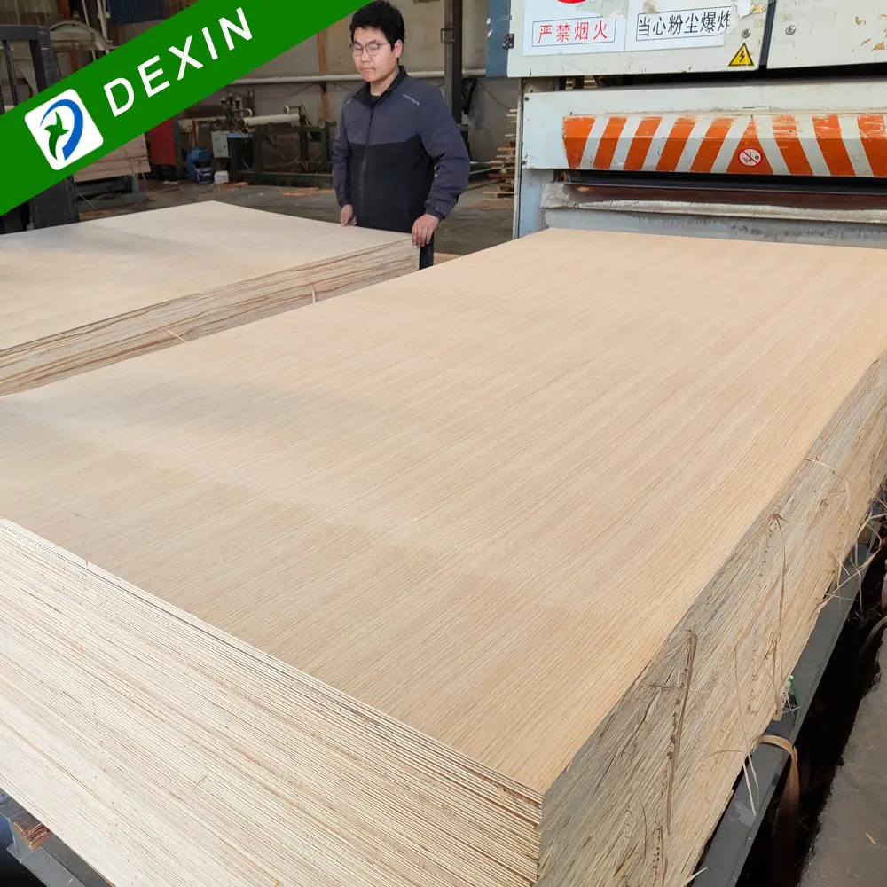 Fabricante profesional 3/4 pulgadas 4x8 fresno, roble, Arce, madera contrachapada de chapa de nogal/madera contrachapada de China